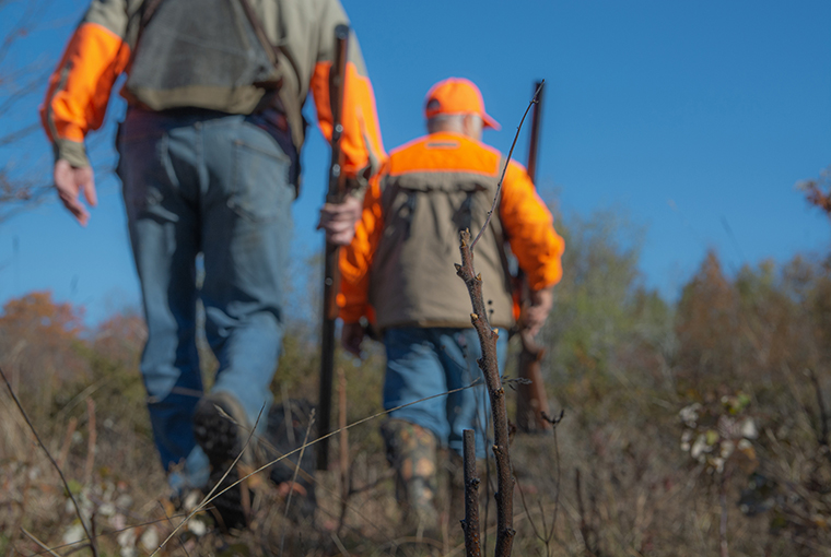 sunday gun hunting