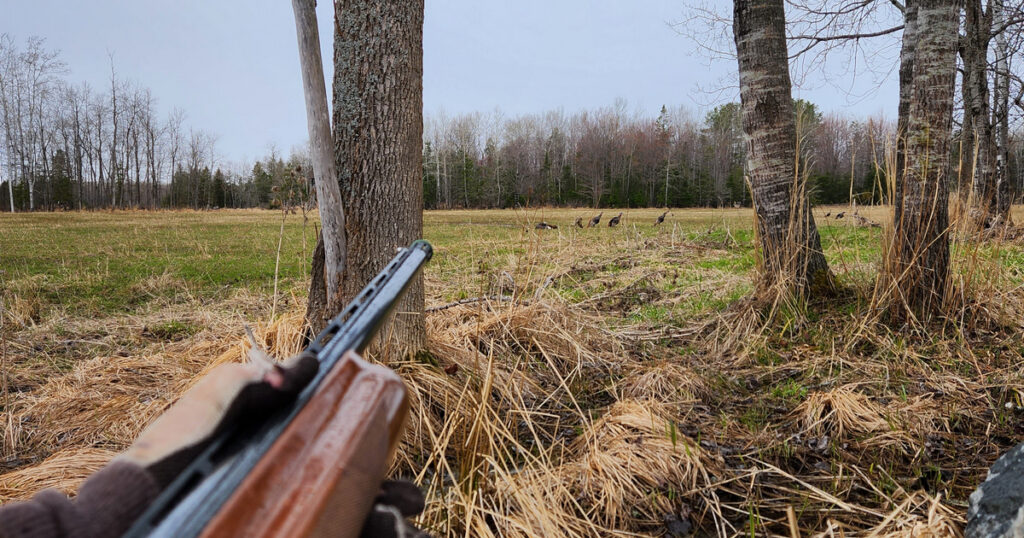 Tips for choosing the right turkey spot.