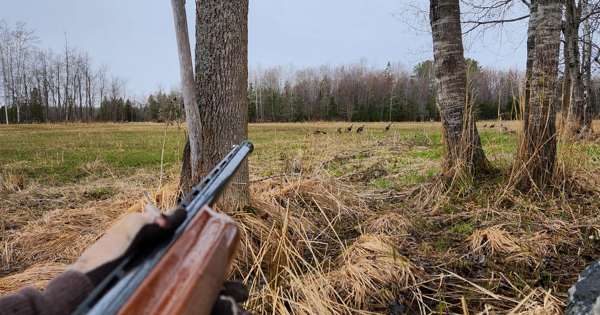 Tips for choosing the right turkey spot.