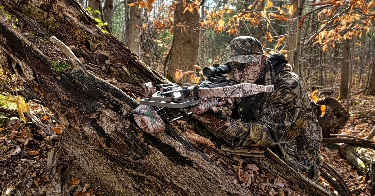 Bow hunter in camouflage, blending seamlessly with the autumn-colored hardwood forest, crouching near a tree stump with a crossbow in hand,