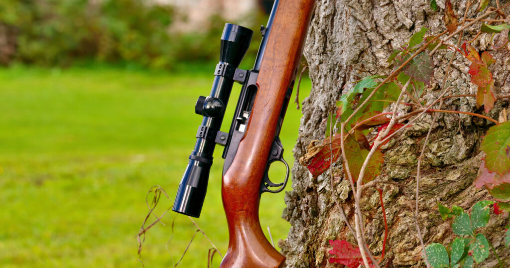 Ruger 10/22