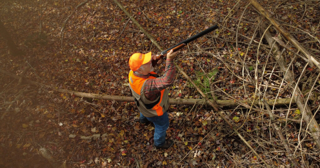 Flush branch-bound grouse smoothly