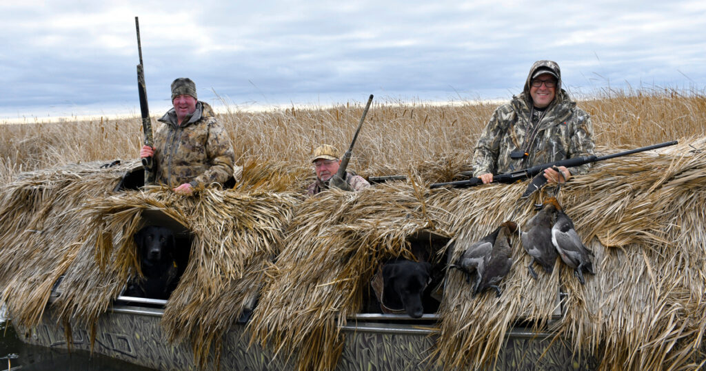 Three camouflaged duck hunters sit in a concealed boat among the cattails, accompanied by their sporting dogs, ready for the hunt.
