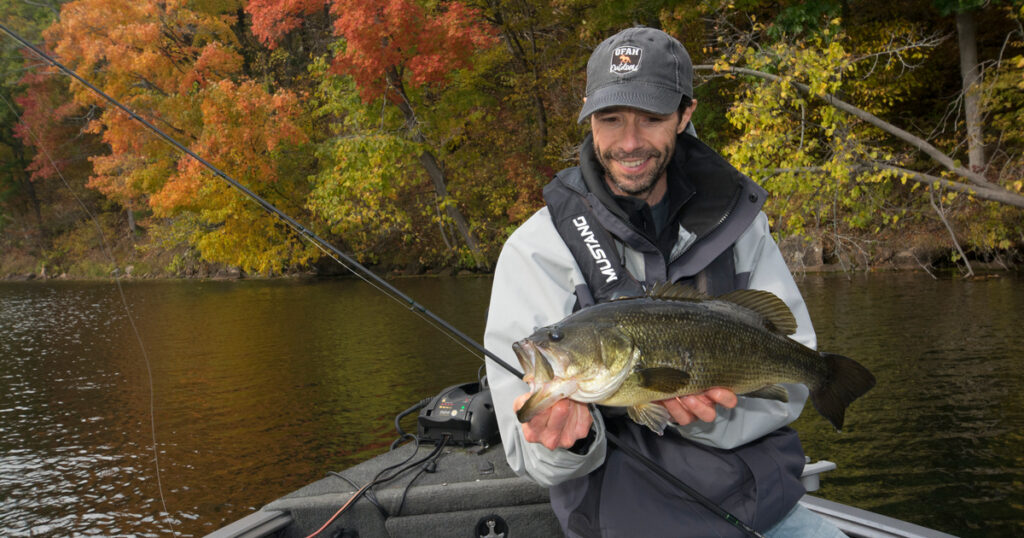 Luring largemouth
