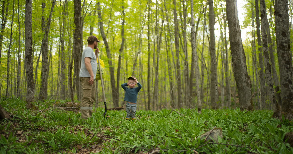 Foraging for wild finds