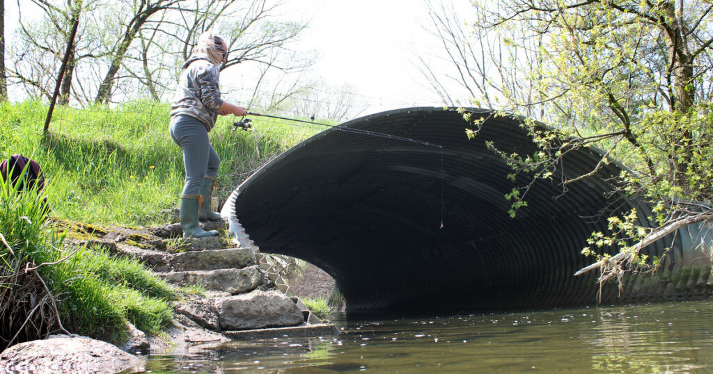 Angler fishing near a culvert in early spring, surrounded by flowing water and budding greenery.