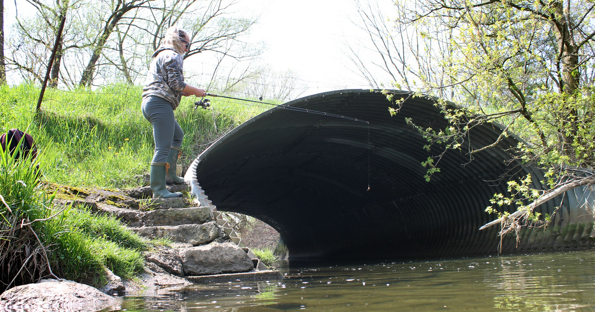 Angler fishing near a culvert in early spring, surrounded by flowing water and budding greenery.
