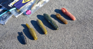 Poop baits stick