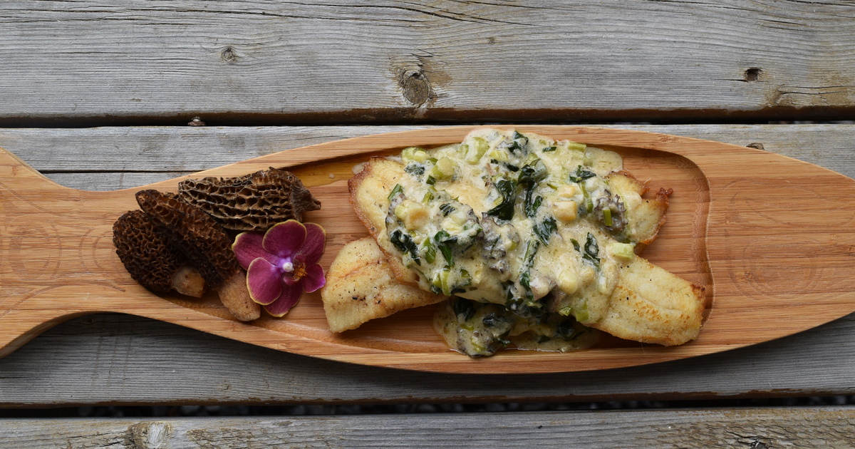 Walleye with wild ramp & morel cream sauce
