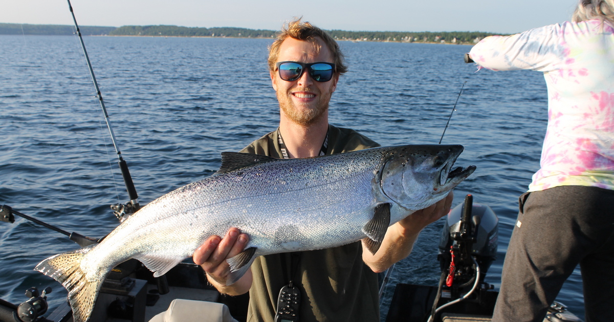 Chasing Cape Croker salmon