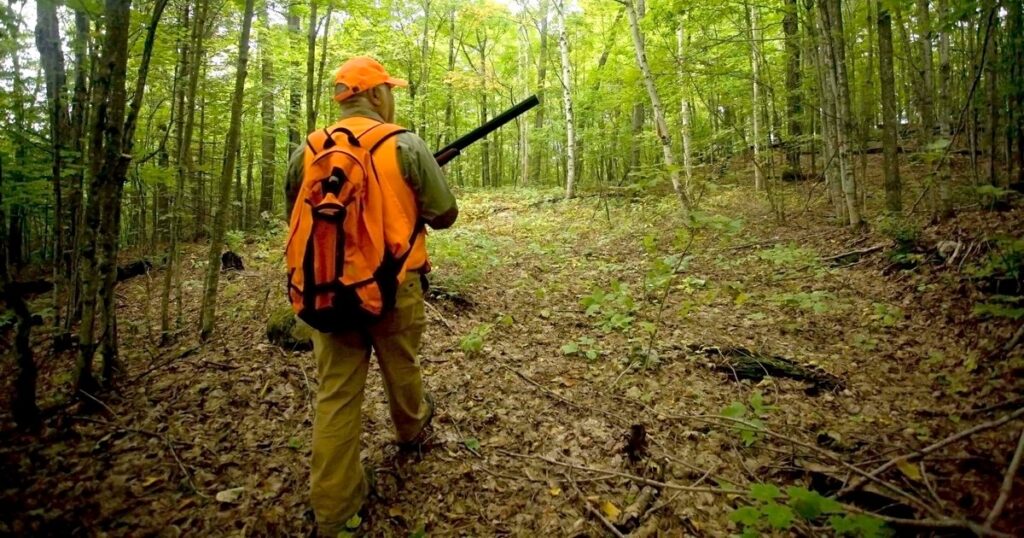 The less rational hunt for grouse